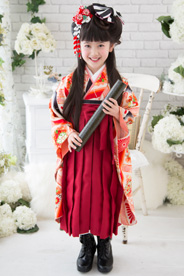 7-147朱菱 （しゅひし）サムネール